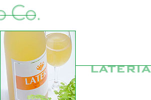 Sinnihonkoso Co. LATERIA